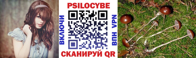 Галлюциногенные грибы Psilocybe Купить закладки Лаишево